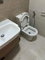 The Lakefront Residences (D22), Condominium #576231891